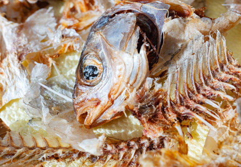 Residuo de pescado reciclamos sus deshechos de raspas de producción de-congelados-de-pescado-en euskadi navarra la rioja Aragón